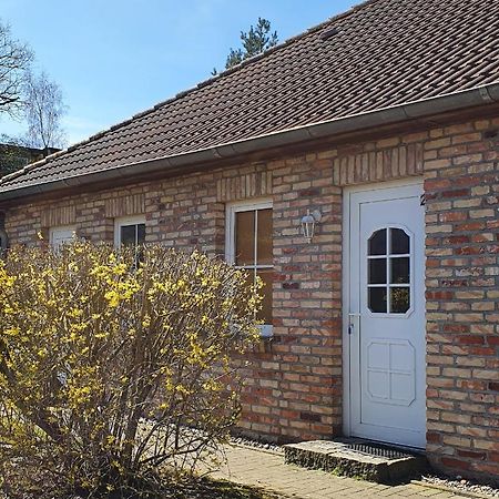 Ferienwohnungen Ruegen-Glueck Lohme Extérieur photo